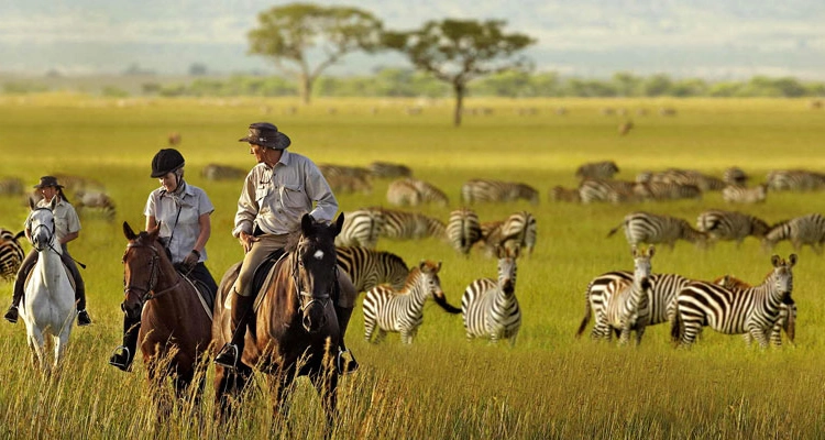 Serengeti National Park, Tanzania